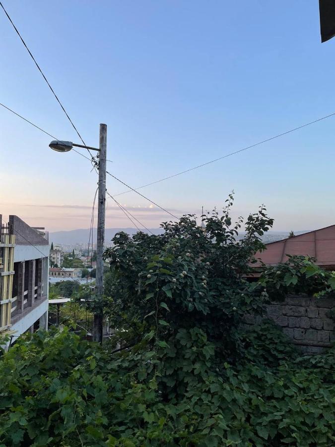 Guest House Zemeli Тбилиси Екстериор снимка